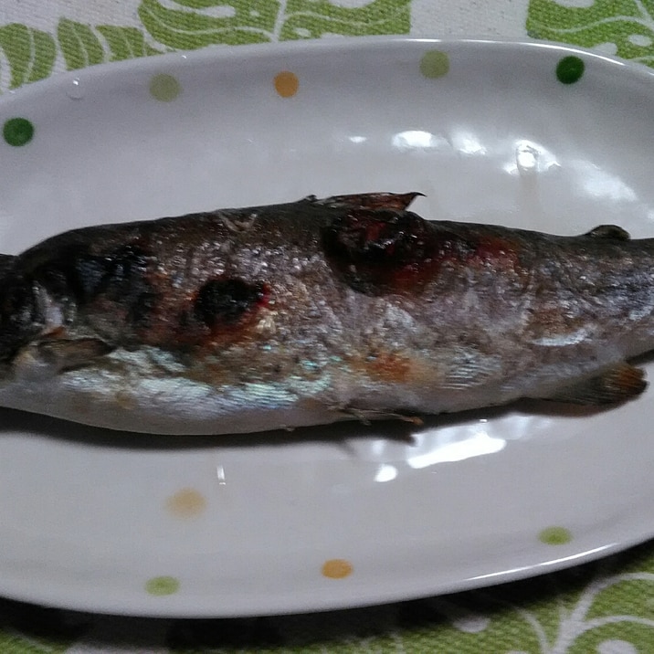 ニジマスの塩焼き。